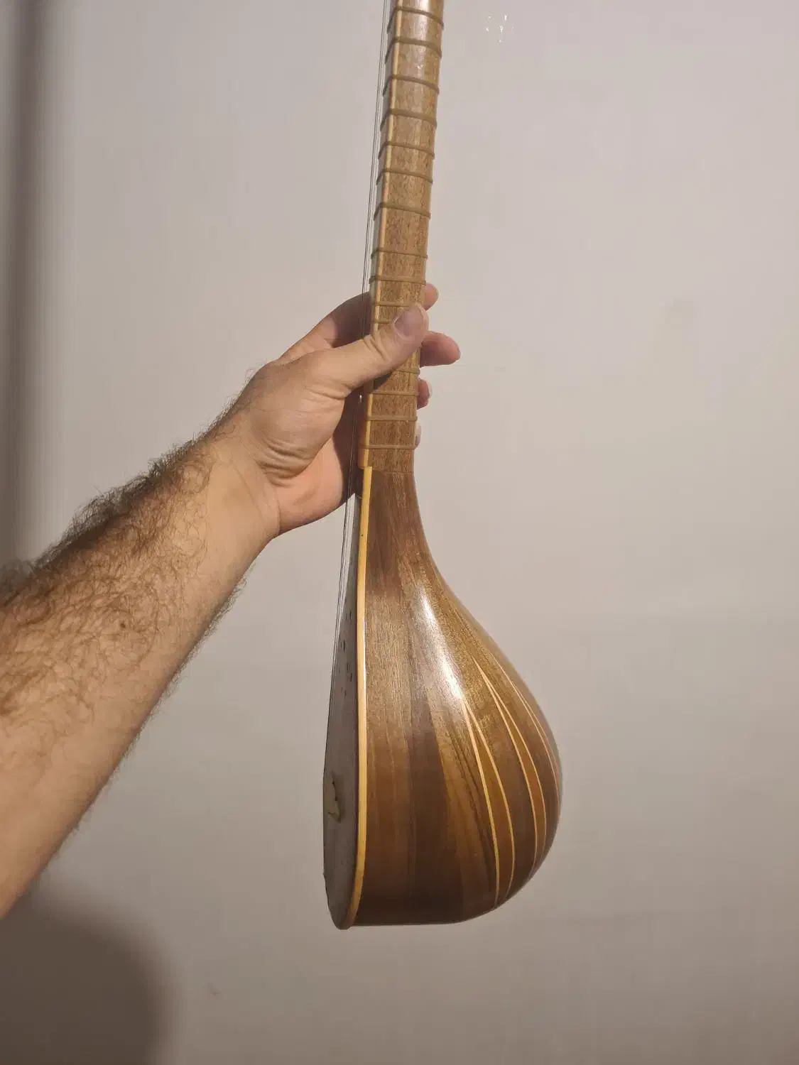 سه تار حرفه ای آبدار باشی|سازهای سنتی|تبریز, |دیوار