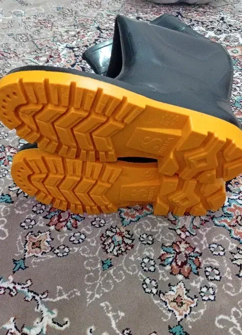 چکمه|کیف، کفش، کمربند|سبزوار, قصبه شرقی|دیوار