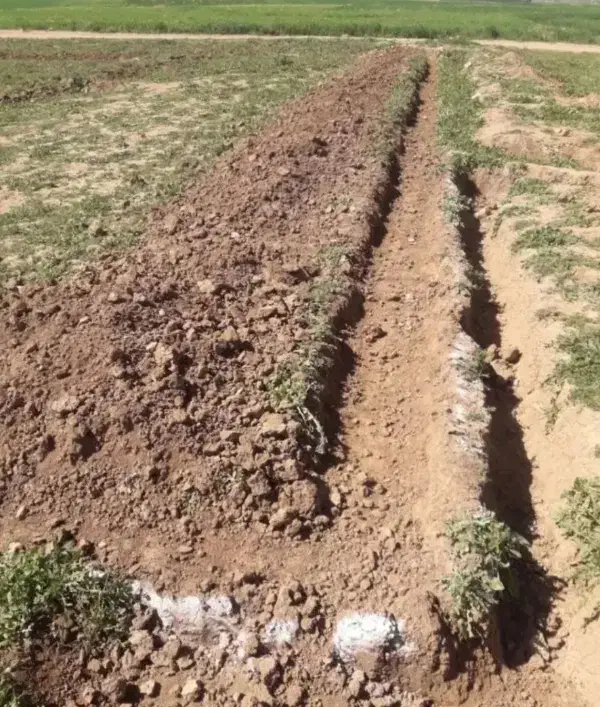 ۵۴۰متر زمین ویلایی|فروش زمین و ملک کلنگی|کوهدشت, |دیوار