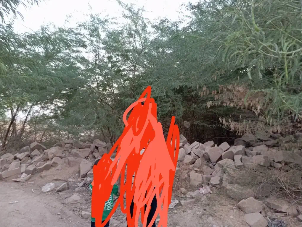 شیبان خیابان ۷ نرسیده به تصفیه آب شرب شیبان|فروش زمین و ملک کلنگی|باوی, |دیوار