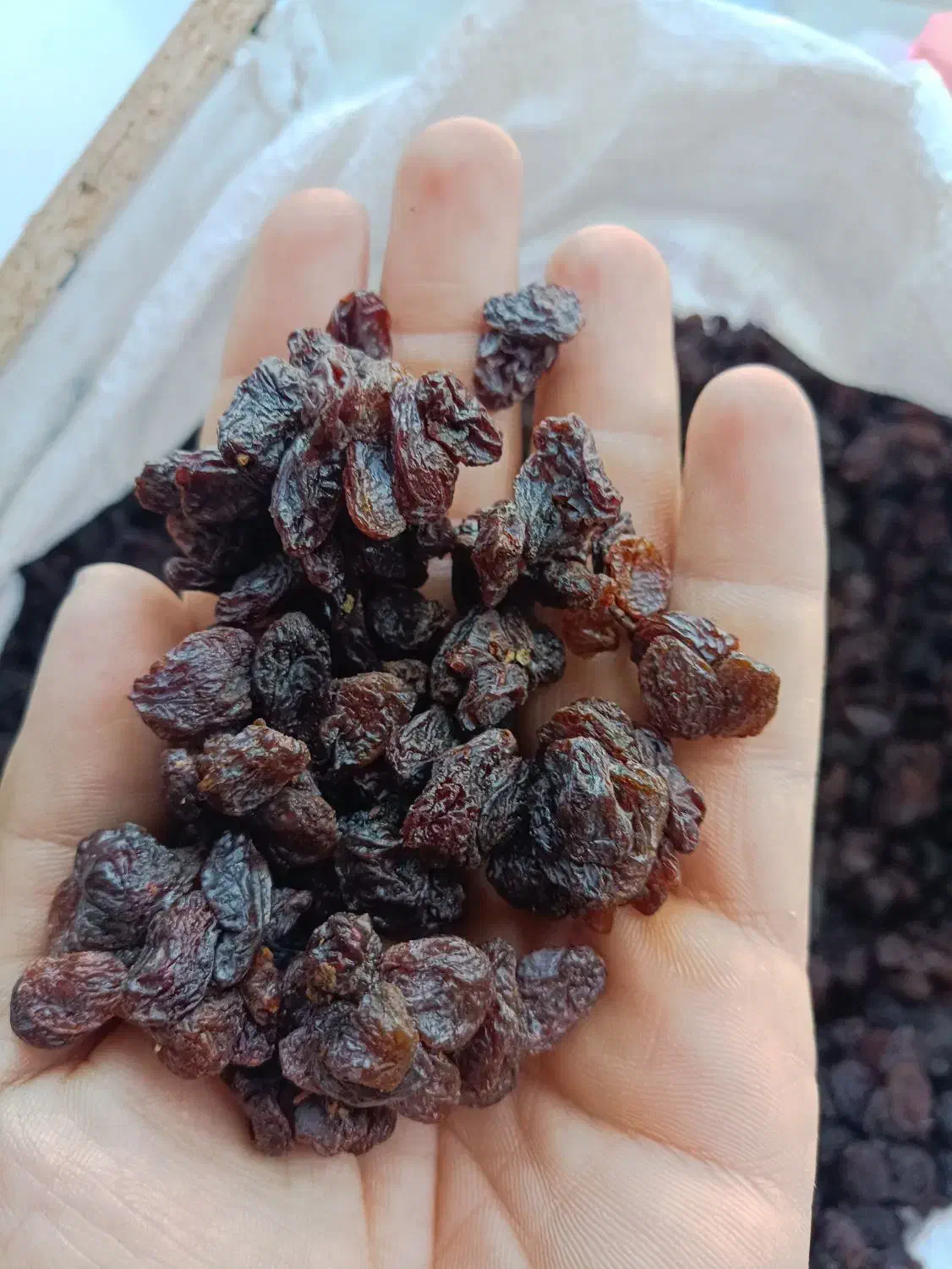 کشمش افتابی سورت لیزر بدون حتی یه دونه سوک و روغن|خوردنی و آشامیدنی|اصفهان, زهران|دیوار