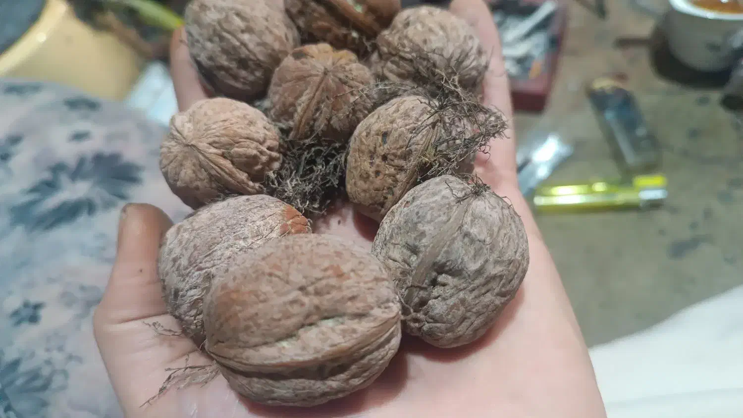 گردو تازه و درجه یک درشت و پوست کاغذی|حراج|آستارا, |دیوار