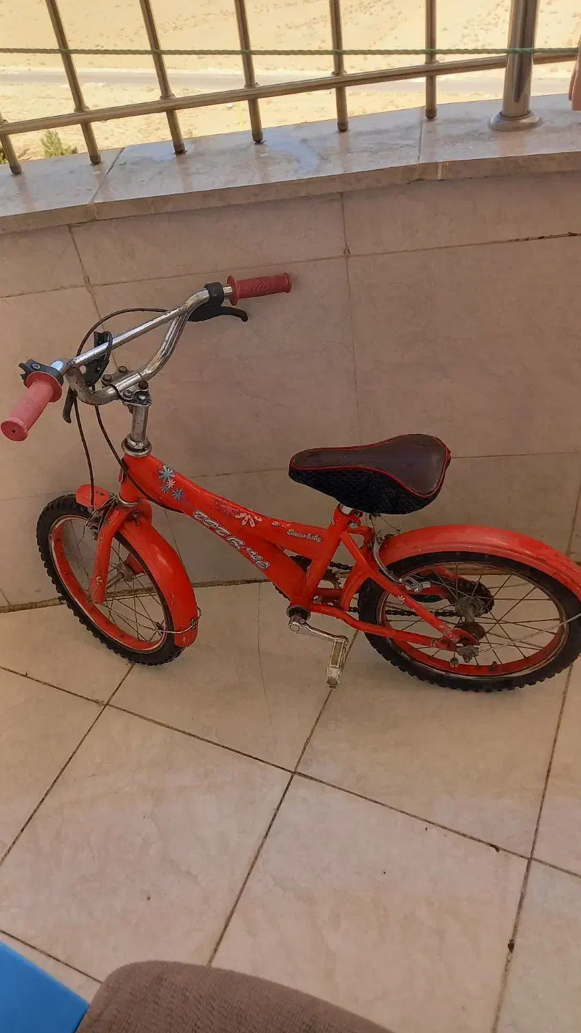 دوچرخه|دوچرخه، اسکیت، اسکوتر|فولادشهر, C3|دیوار