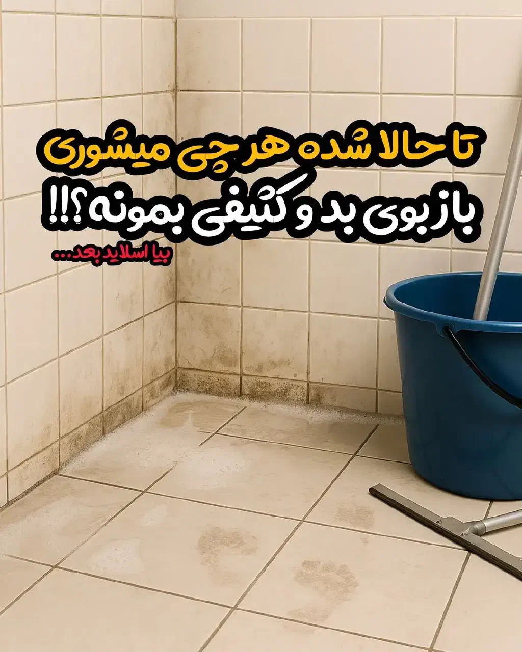 پک  کف|مواد شوینده و دستمال کاغذی|طبس, |دیوار
