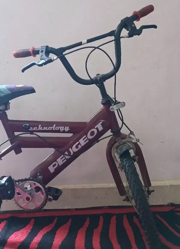 دوچرخه|دوچرخه، اسکیت، اسکوتر|شیراز, رازی|دیوار