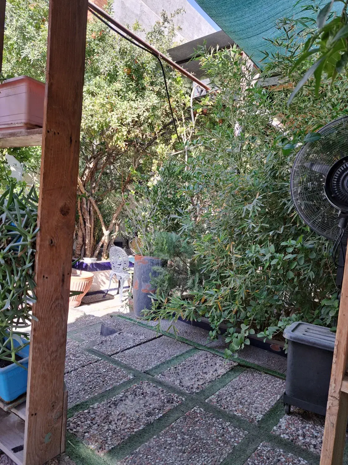 سالندار(ویتر)|استخدام خدمات فروشگاه و رستوران|سیرجان, |دیوار