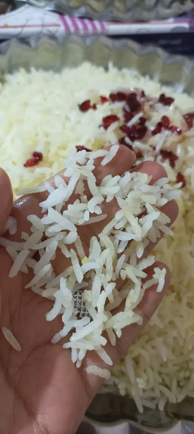 برنج کامفیروزی،و نیم دانه و خرده آشی اعلا،به شرط|خوردنی و آشامیدنی|شیراز, شهرک گلستان|دیوار