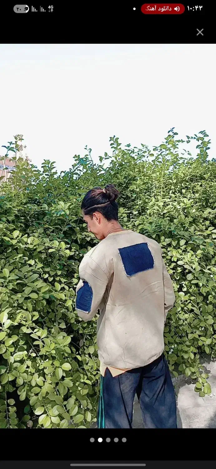 تعدای دورس/هودی /پافر|لباس|بم, |دیوار