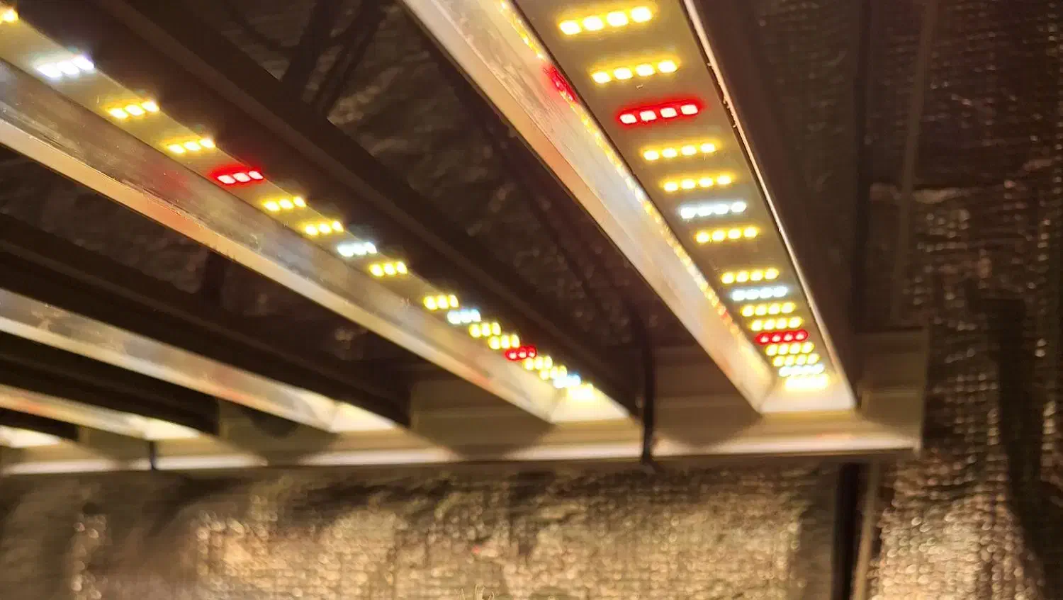 لامپ رشد grow light) king led)|لامپ و چراغ|فولادشهر, فولادشهر|دیوار