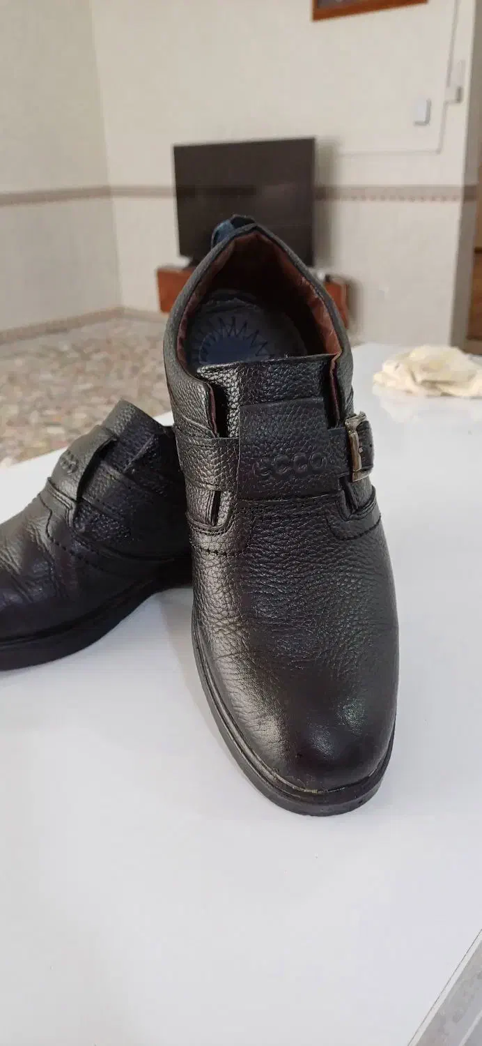 کفش مجلسی|کیف، کفش، کمربند|کرمانشاه, |دیوار