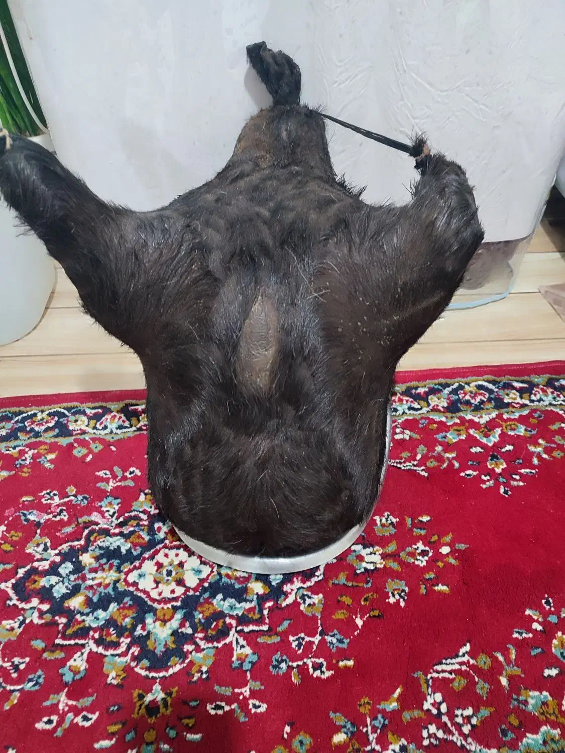 جای روغن|ظروف نگهدارنده، پلاستیکی، یک‌بارمصرف|خرم‌آباد, |دیوار