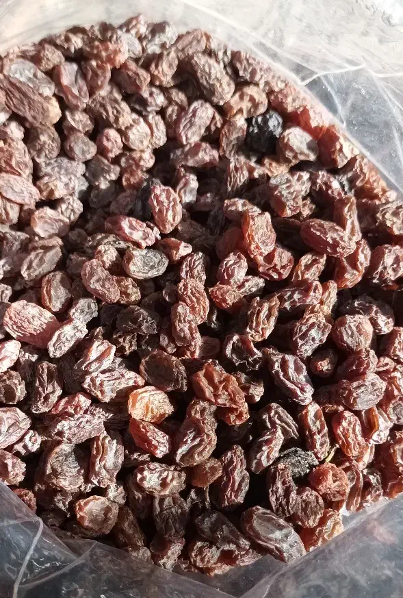 کشمش بیدانه|خوردنی و آشامیدنی|محمدیه-قزوین, |دیوار