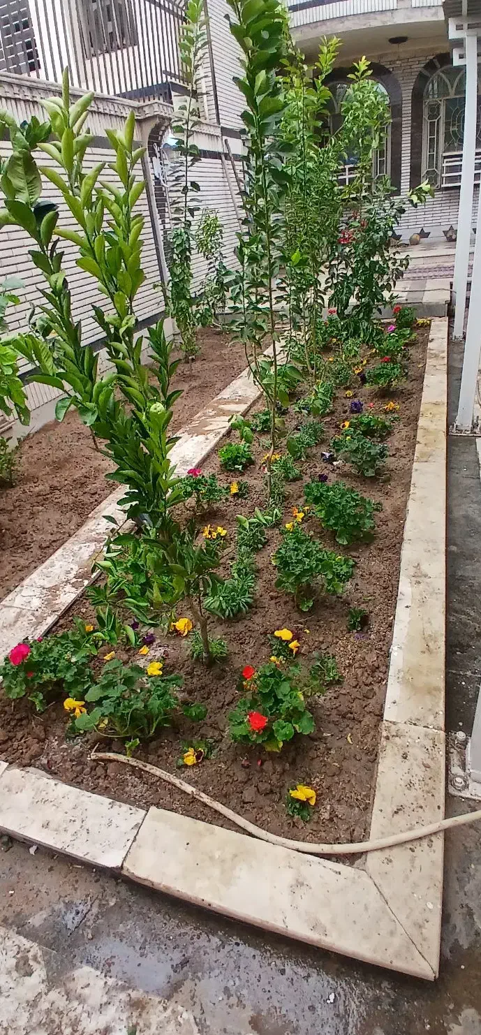 خدمات باغبانی|خدمات باغبانی و درختکاری|اهواز, کیانپارس |دیوار