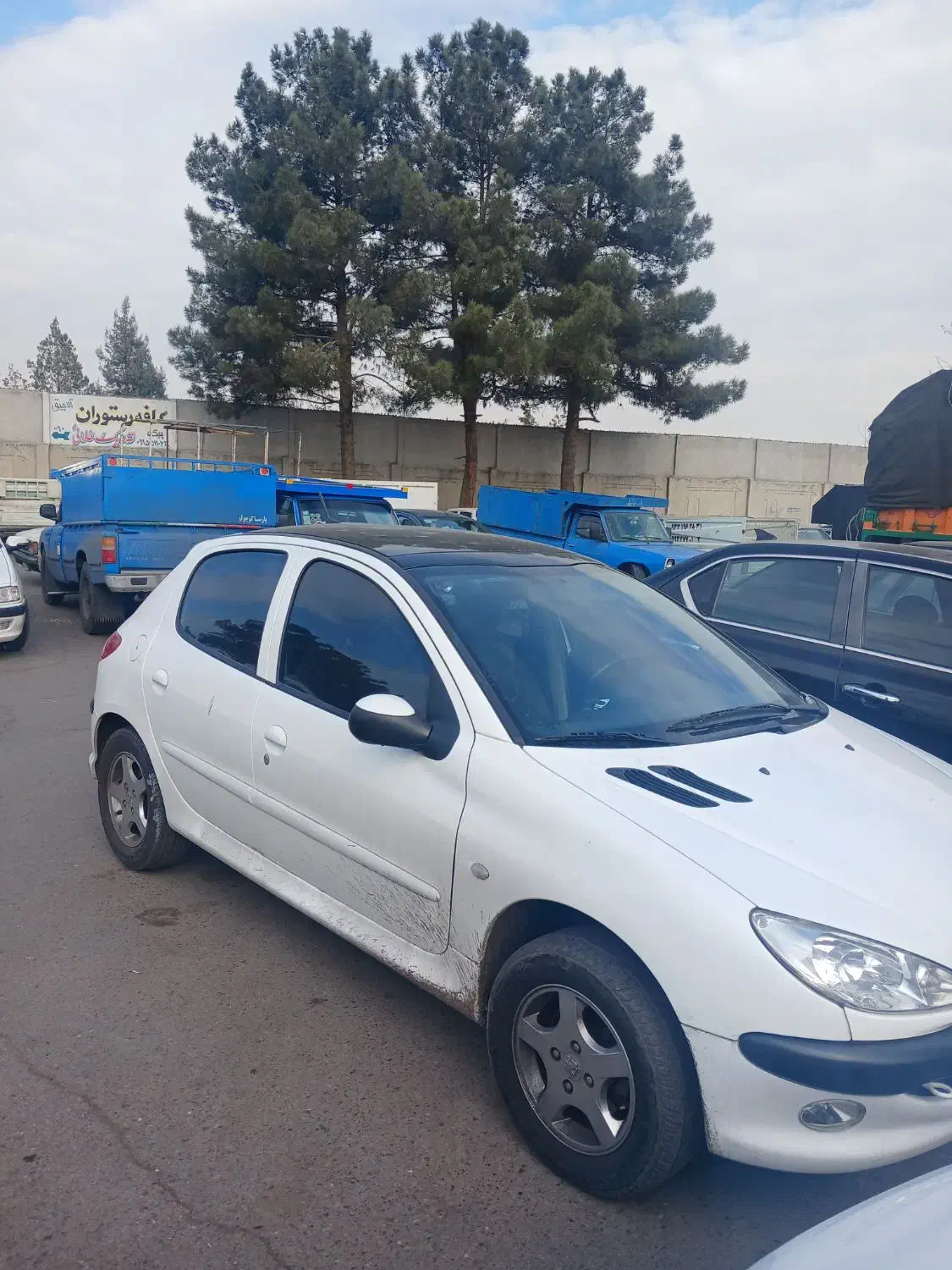 پژو ۲۰۶تیپ ۳ پانا|خودرو سواری و وانت|مشهد, سپاد|دیوار