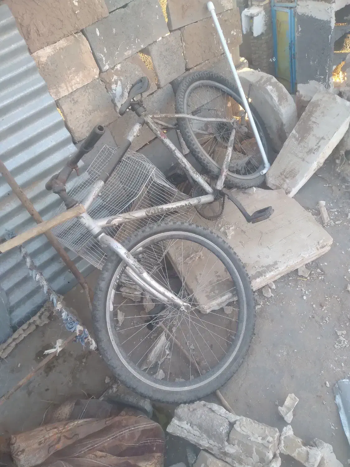 دوچرخه ۲۶|دوچرخه، اسکیت، اسکوتر|تایباد, |دیوار