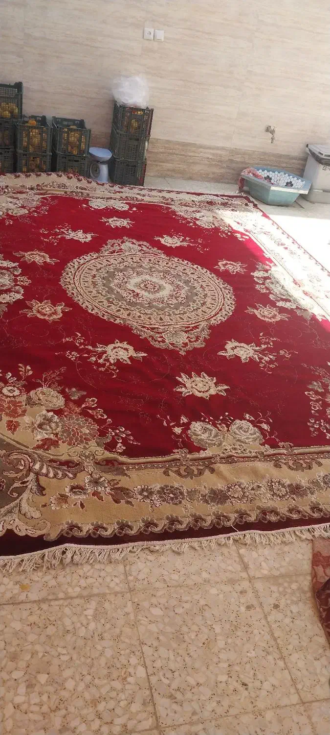 قالی 12 متر رنگ زرشکی کار کرده|فرش|خمینیشهر, |دیوار
