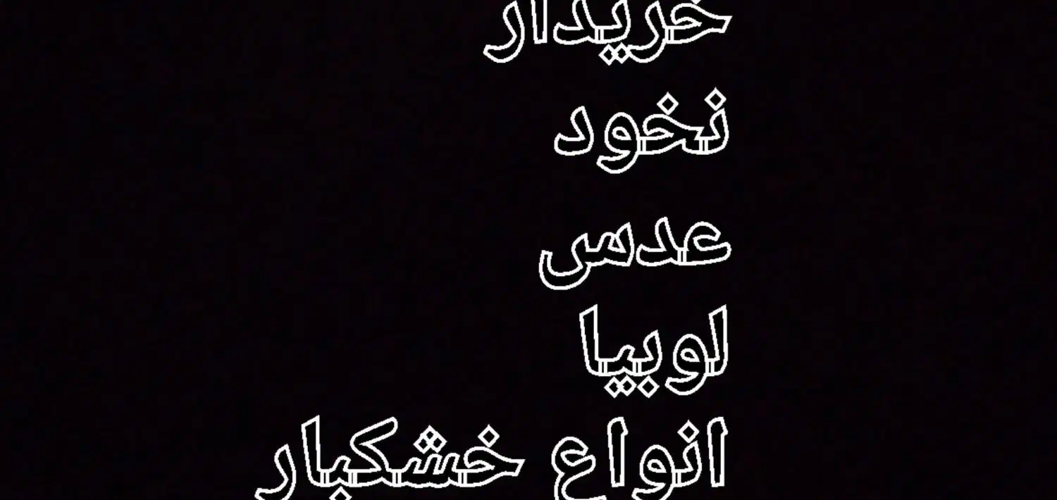 عدس و ن خ و د|خوردنی و آشامیدنی|قیدار, |دیوار