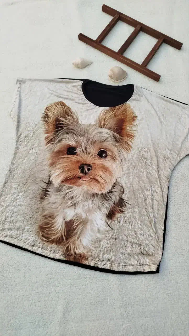 لباس زنانه|لباس|کاشان, کوچه باسکول|دیوار