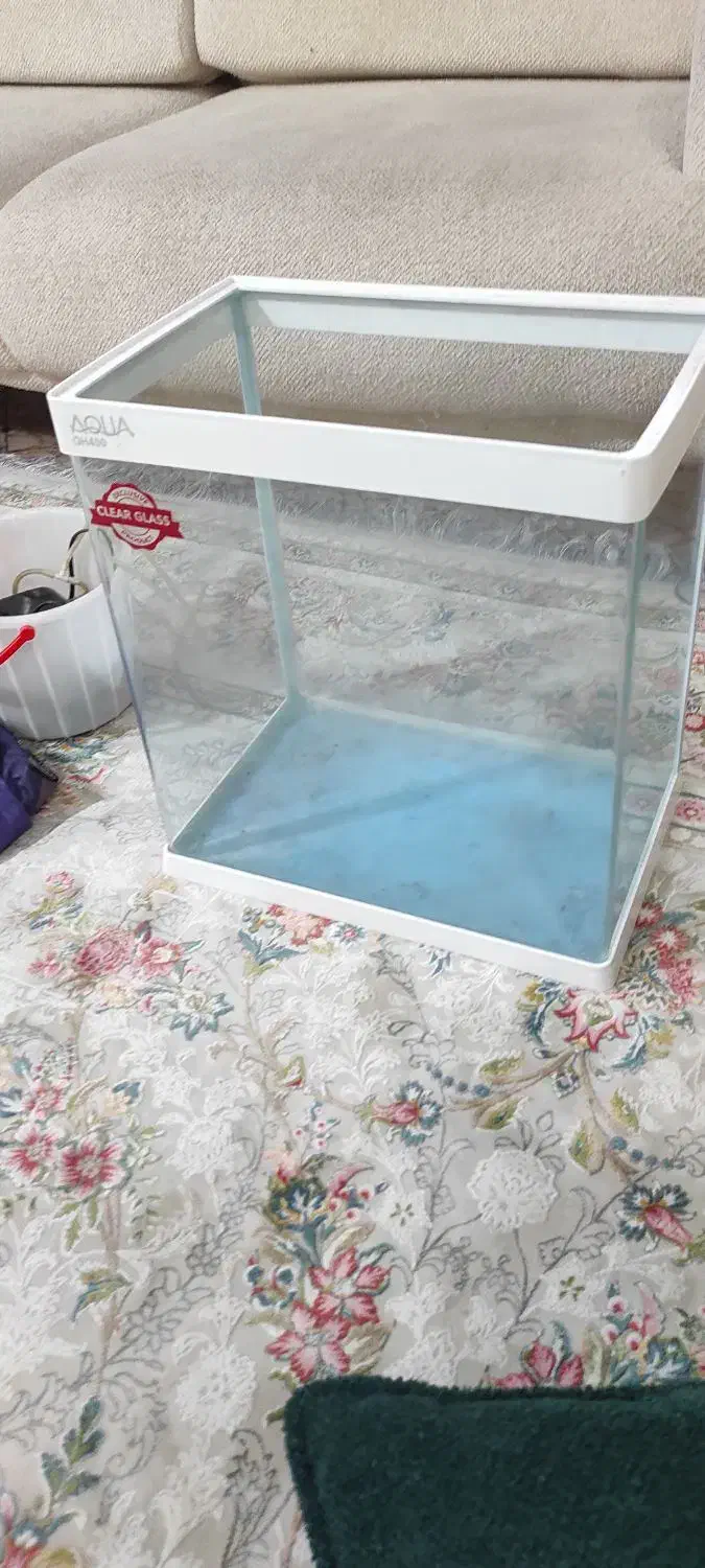 آکواریوم|ماهی|تهران, مسعودیه|دیوار