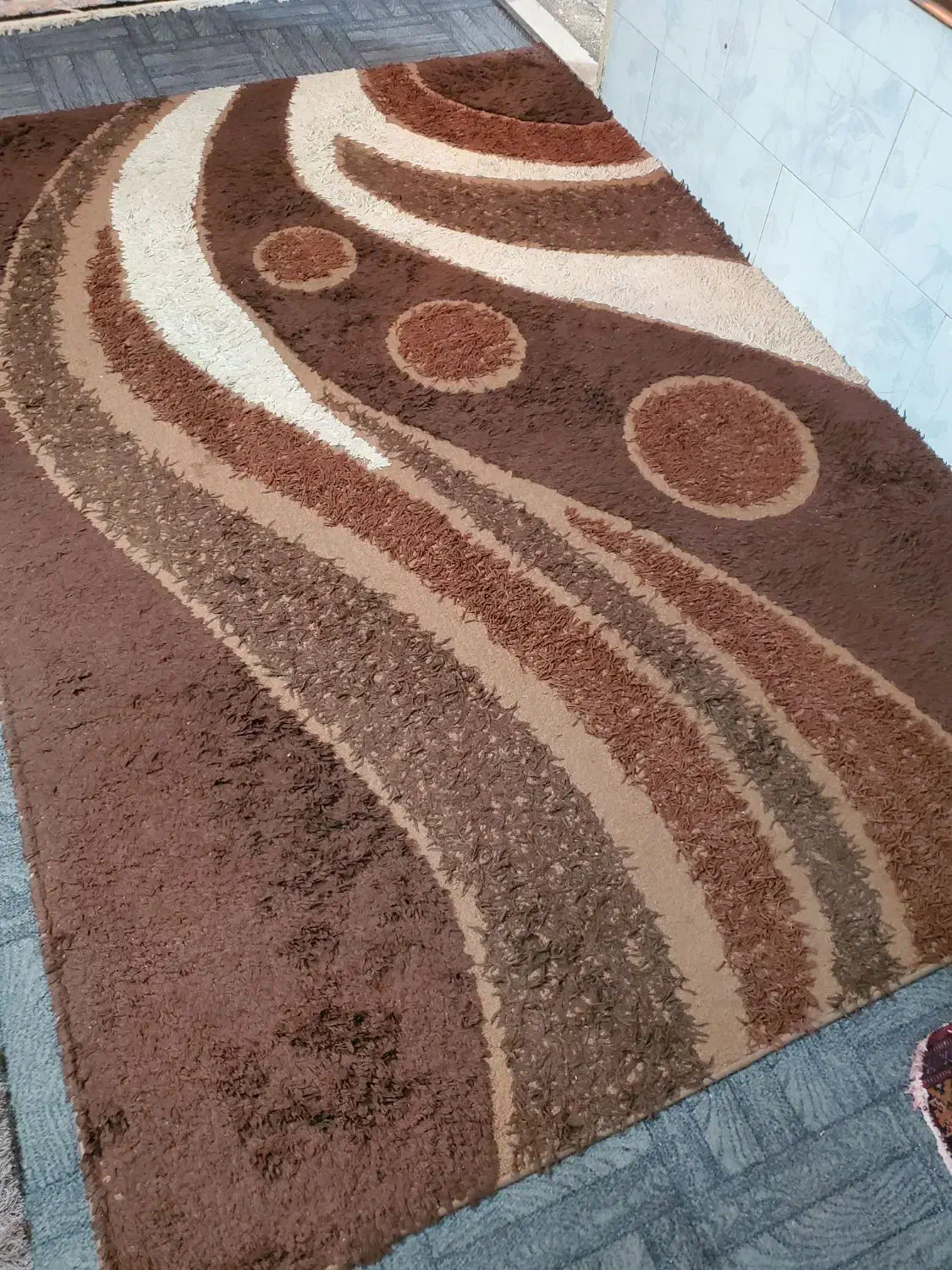 فرش ۶متری تمیز  فانتزی|فرش|شیراز, سرو|دیوار