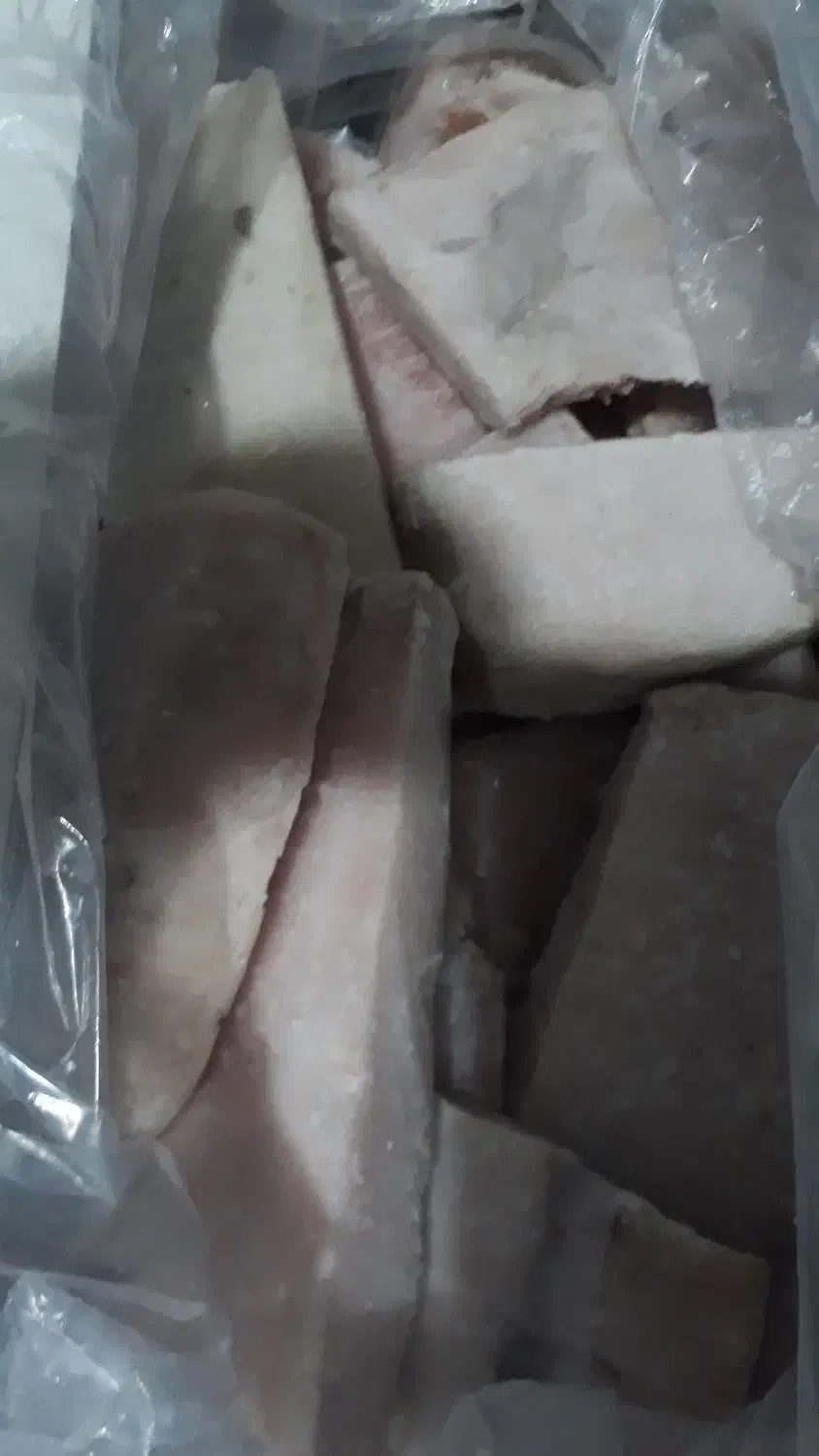 فیله ماهی|ماهی|نهاوند, |دیوار