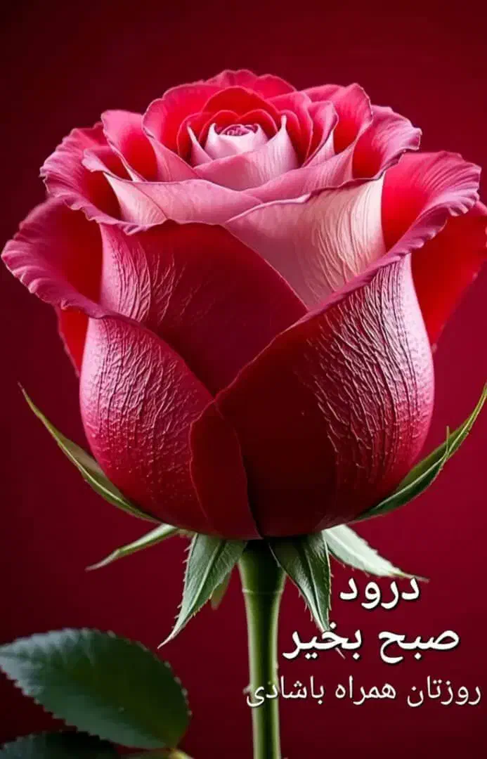 استخدام درسالن زیبایی|استخدام درمانی، زیبایی، بهداشتی|بندرعباس, |دیوار