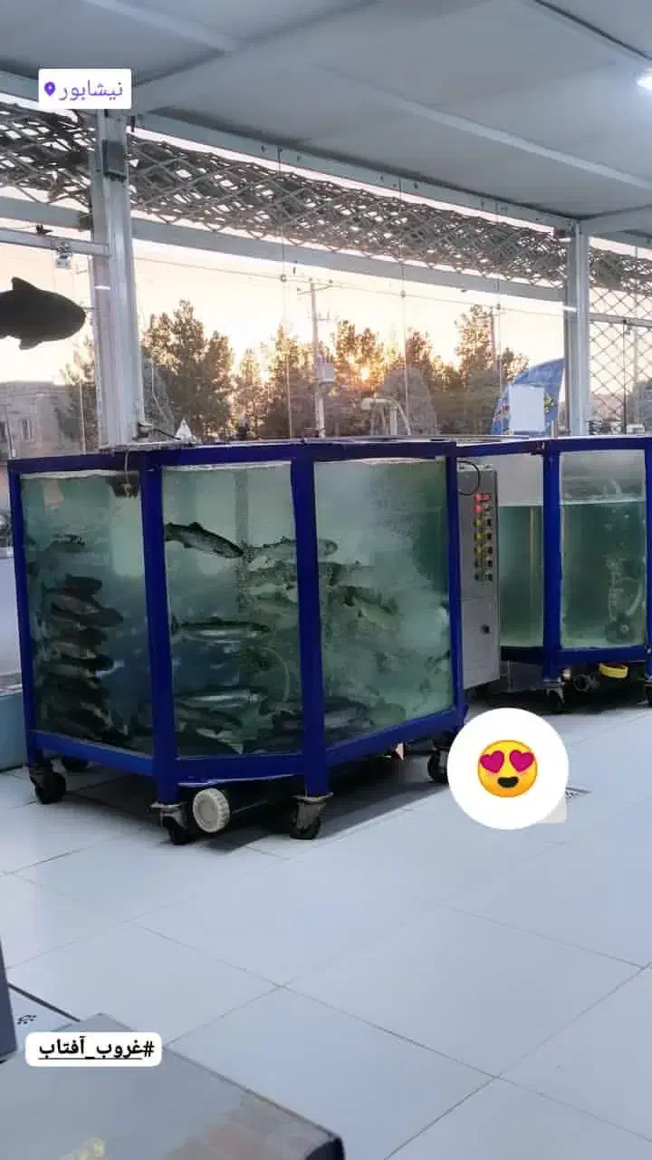 صید ماهیگیری تو نیشابور|ماهی|نیشابور, مازول|دیوار