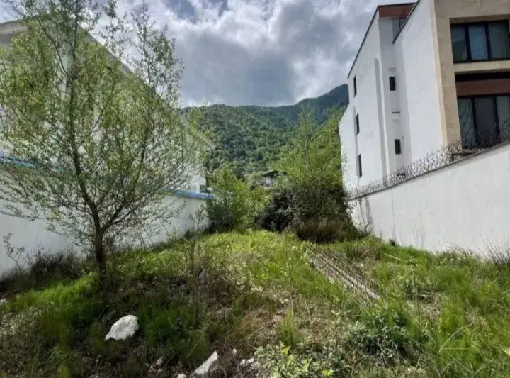 یه ویلای دنج تواین زمین جنگلی توشمال بساز باشرایط|فروش زمین و ملک کلنگی|رامسر, |دیوار