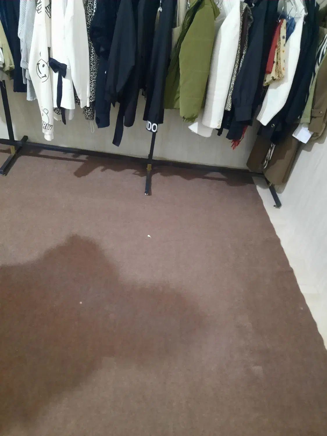 موکت. در حد نو.|موکت|نجفآباد, صالح آباد|دیوار