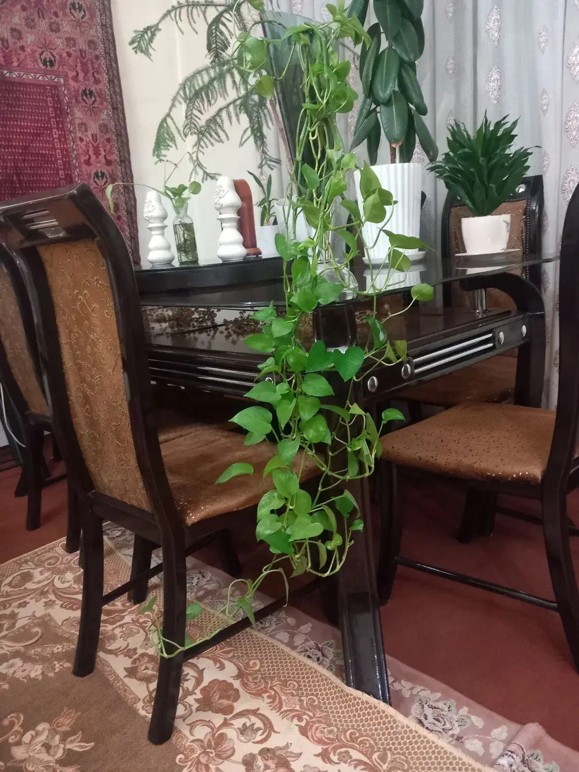 میزناهارخوری|میز و صندلی غذاخوری|آبیک, |دیوار