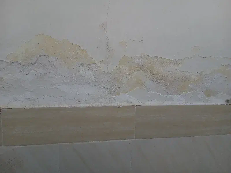 حل دائمی شوره دیوار|مصالح و تجهیزات ساختمان|اهواز, کمپلو شمالی|دیوار