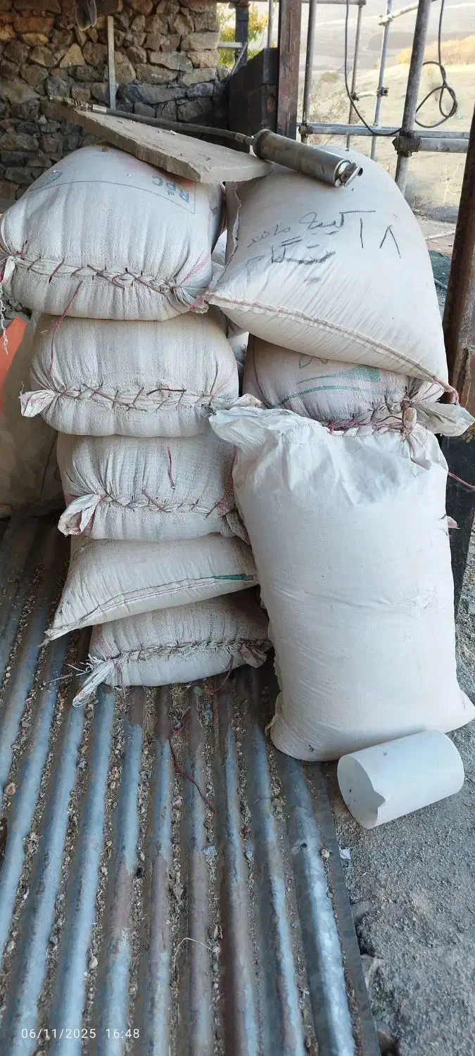 گندم آبی پیشگام|خدمات باغبانی و درختکاری|حسین آباد, |دیوار