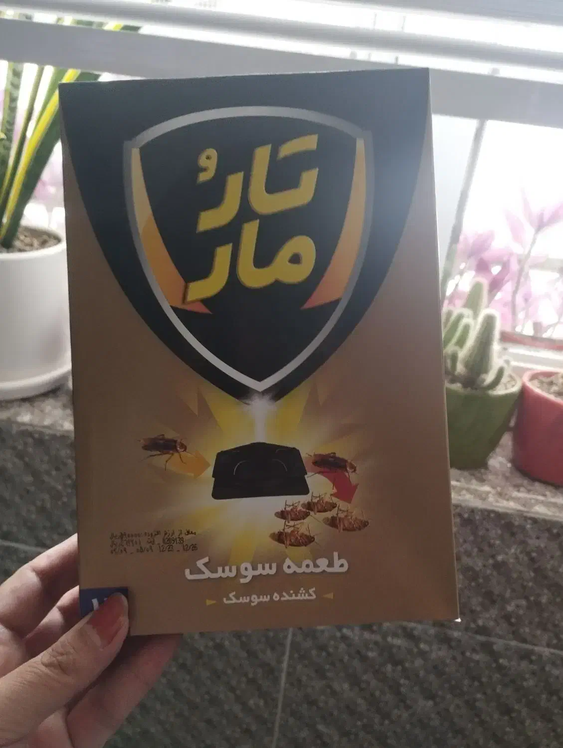 طعمه سوسک کش ۱۲عدد|لوازم نظافت|رشت, پیرکلاچای|دیوار