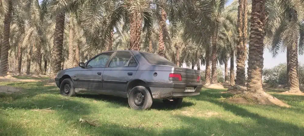 پژو دوگانه شرکت.  94|خودرو سواری و وانت|برازجان, |دیوار