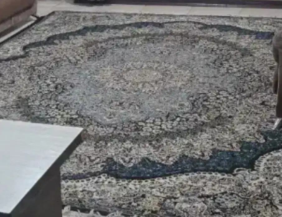 فرش ۱۲متری نگین مشهد|فرش|شیراز, مسلم|دیوار