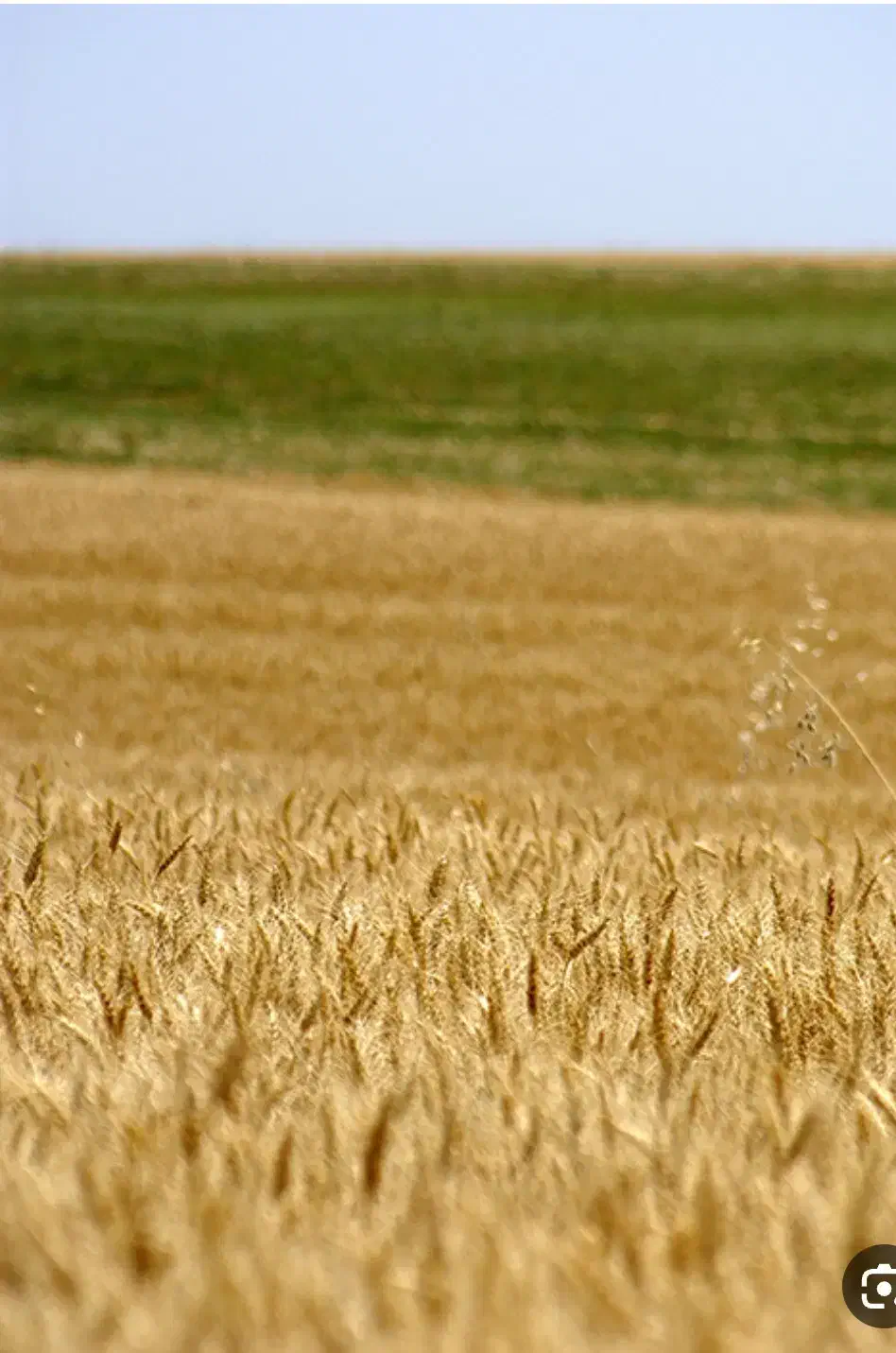 فروش زمین گهمال بالاتر از حاجی آباد|فروش دفتر صنعتی، کشاورزی، تجاری|لردگان, |دیوار