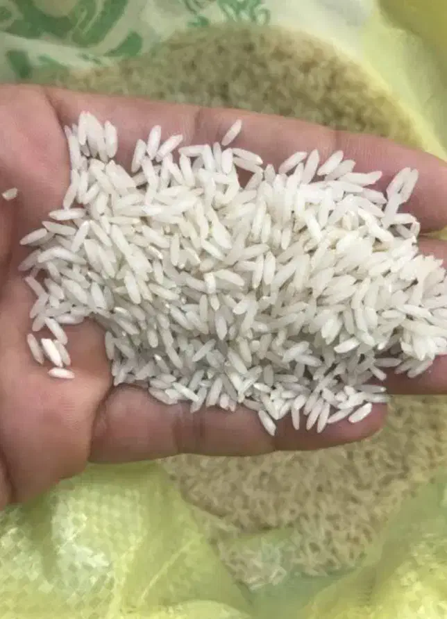 کمپلو شمالی|عمدهفروشی|اهواز, کمپلو شمالی|دیوار