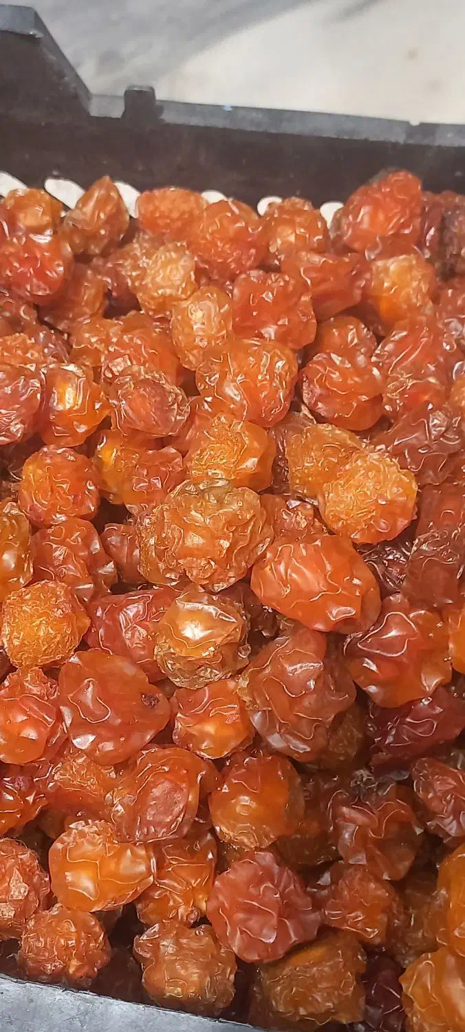 آلو وآلوچه|خوردنی و آشامیدنی|برخوار, |دیوار