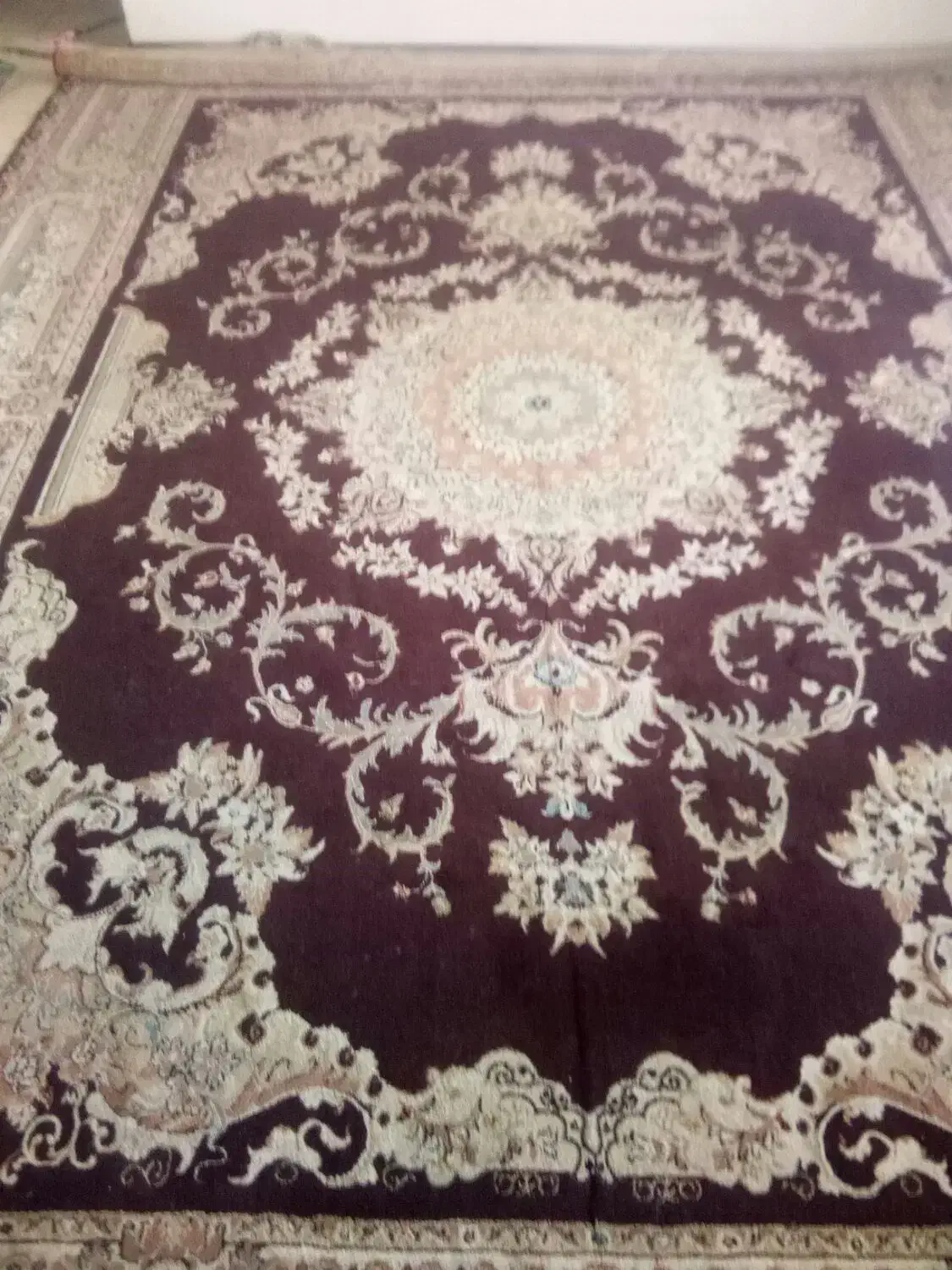 فرش ماشینی 12 متری|فرش|گلبهار, شهر جدید گلبهار|دیوار