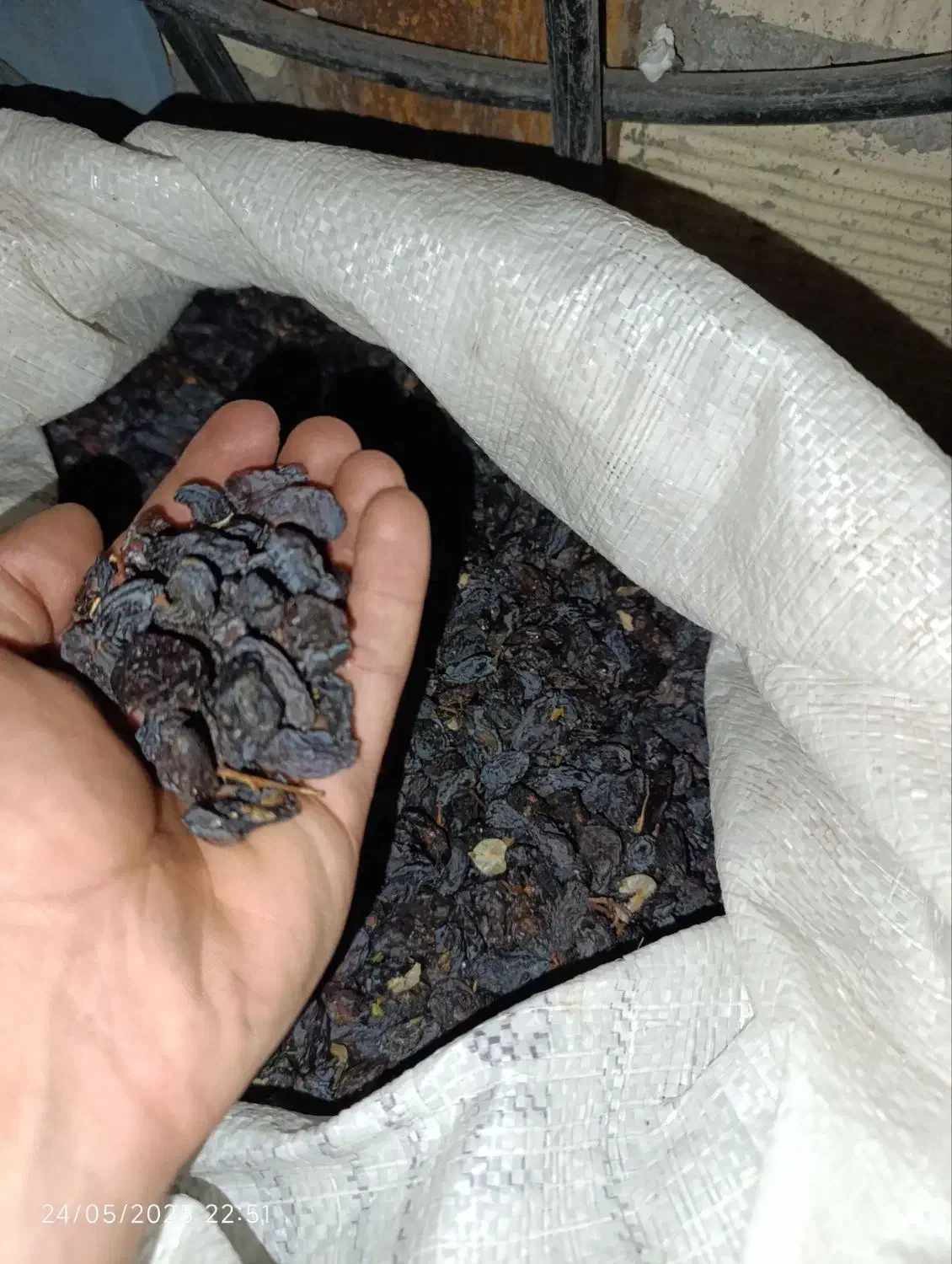 کشمش آفتابی|خوردنی و آشامیدنی|زرندیه, |دیوار