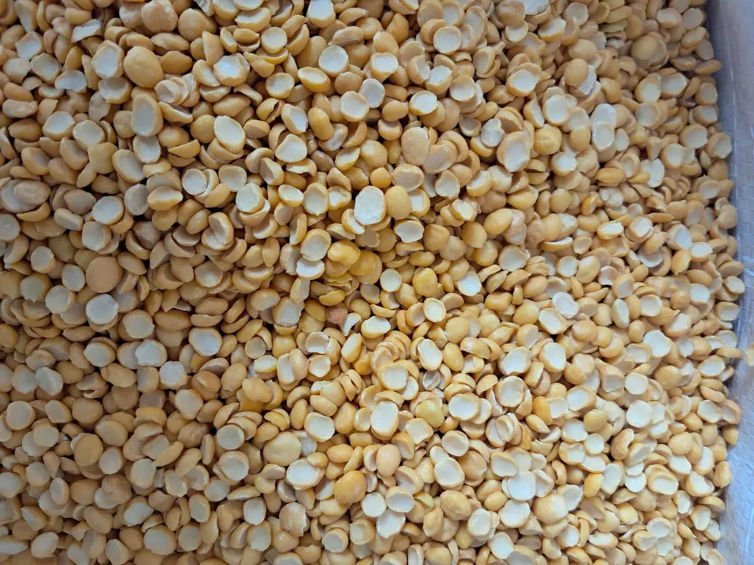 حبوبات ایرانی درجه ۱ نرخ عمده ارزان|خوردنی و آشامیدنی|کوهدشت, |دیوار