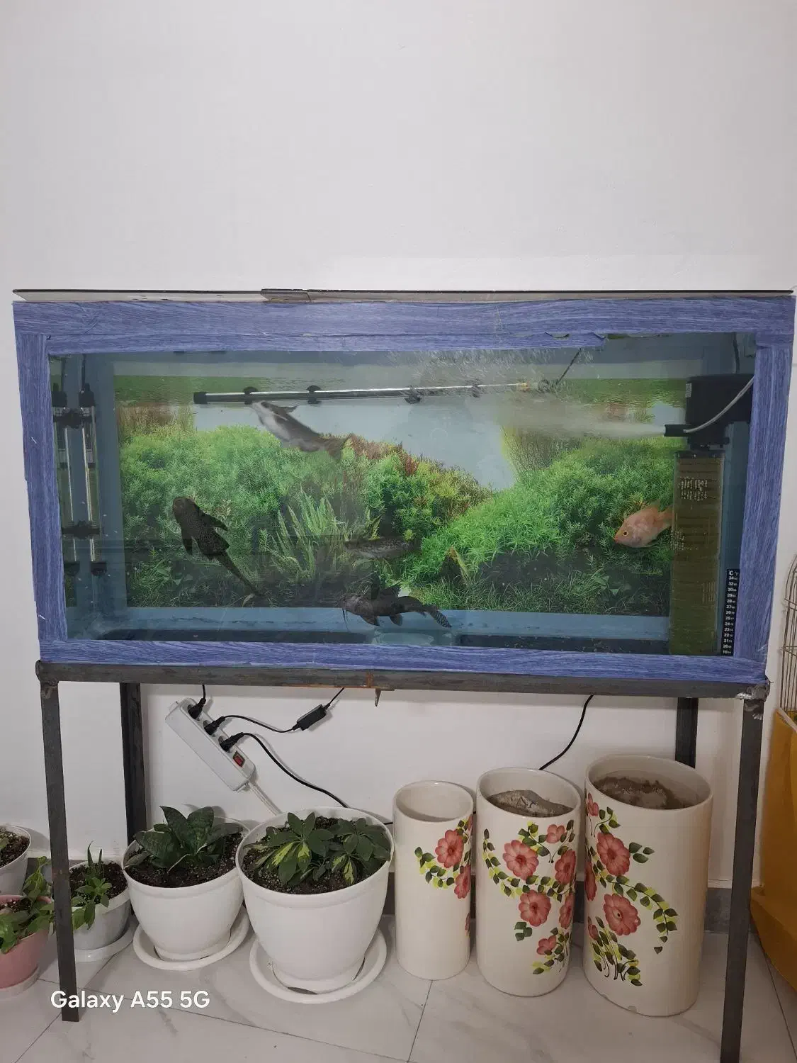 آکواریم می‌خوام بفروشم|ماهی|قوچان, |دیوار