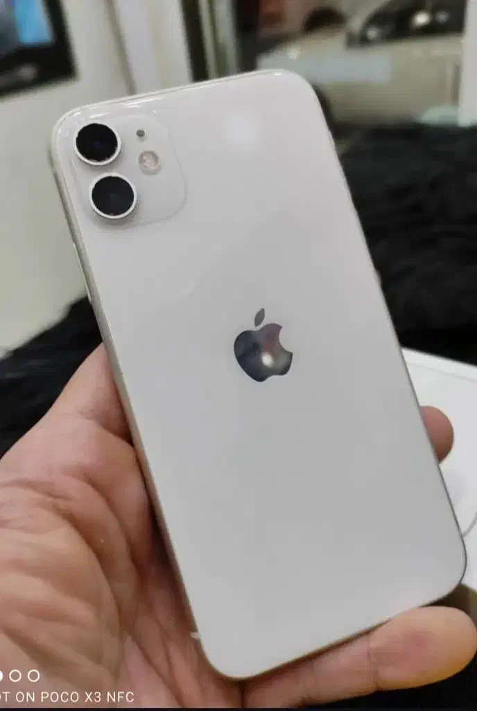 ایفون۱۱معمولی|موبایل|پیرانشهر, |دیوار