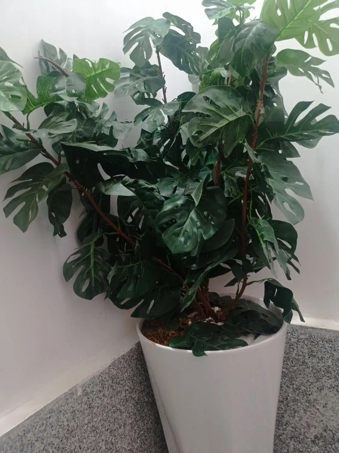 درختچه های زیبا|گل مصنوعی|بروجرد, |دیوار