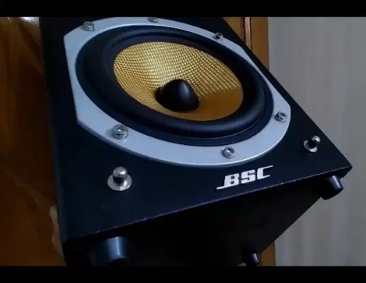 استند،+اسپیکر+ باند+اکتیو مدل BSC قدرتمنداروپایی|سیستم صوتی خانگی|ری, علایین|دیوار