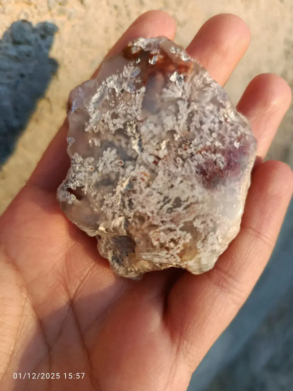 شجر برفی|کلکسیون اشیاء عتیقه|آیسک, |دیوار