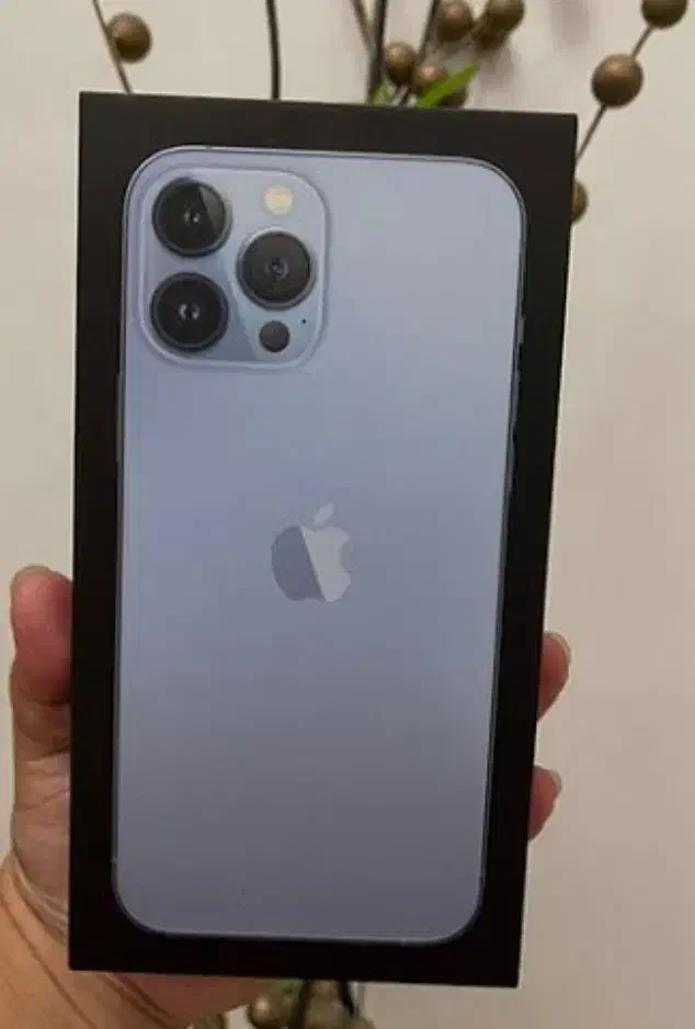 آیفون 13 پرو مکس 128|موبایل|ارومیه, |دیوار