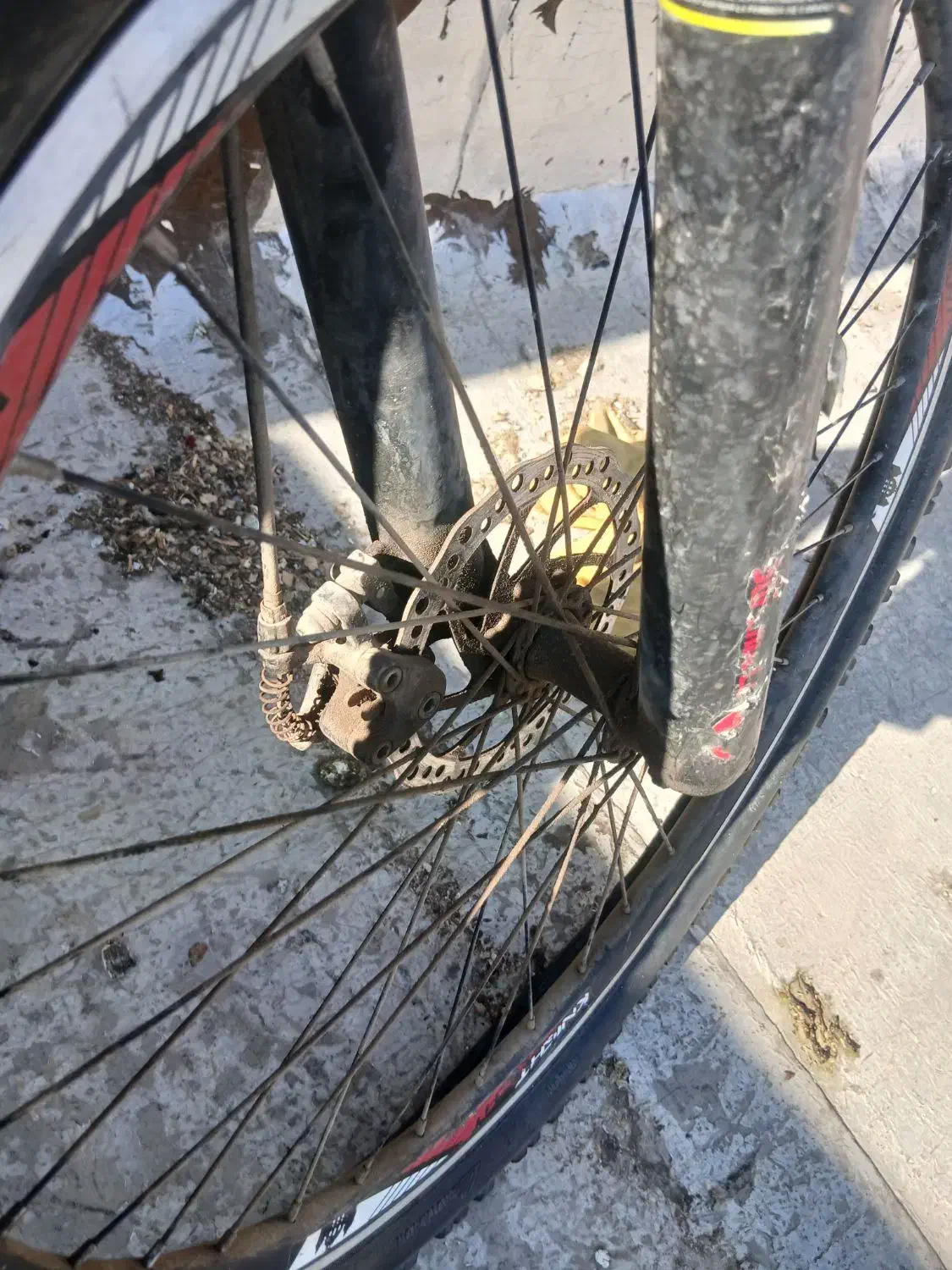 دوچرخه سایت 26 سالم|دوچرخه، اسکیت، اسکوتر|اندیشه, اندیشه فاز ۱|دیوار