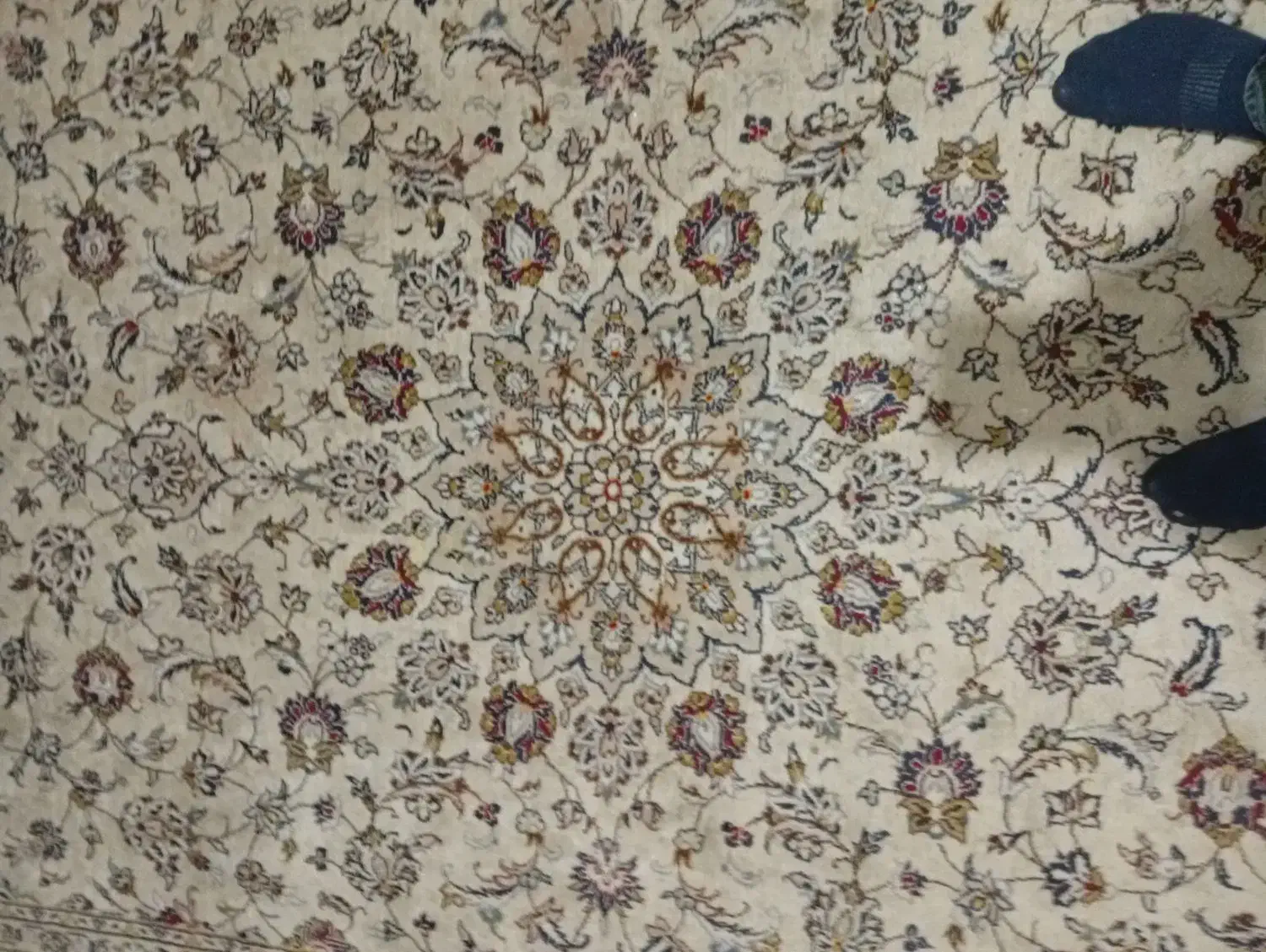 فرش دست بافت کاشان|فرش|تهران, گلستان (شهرک راه آهن)|دیوار