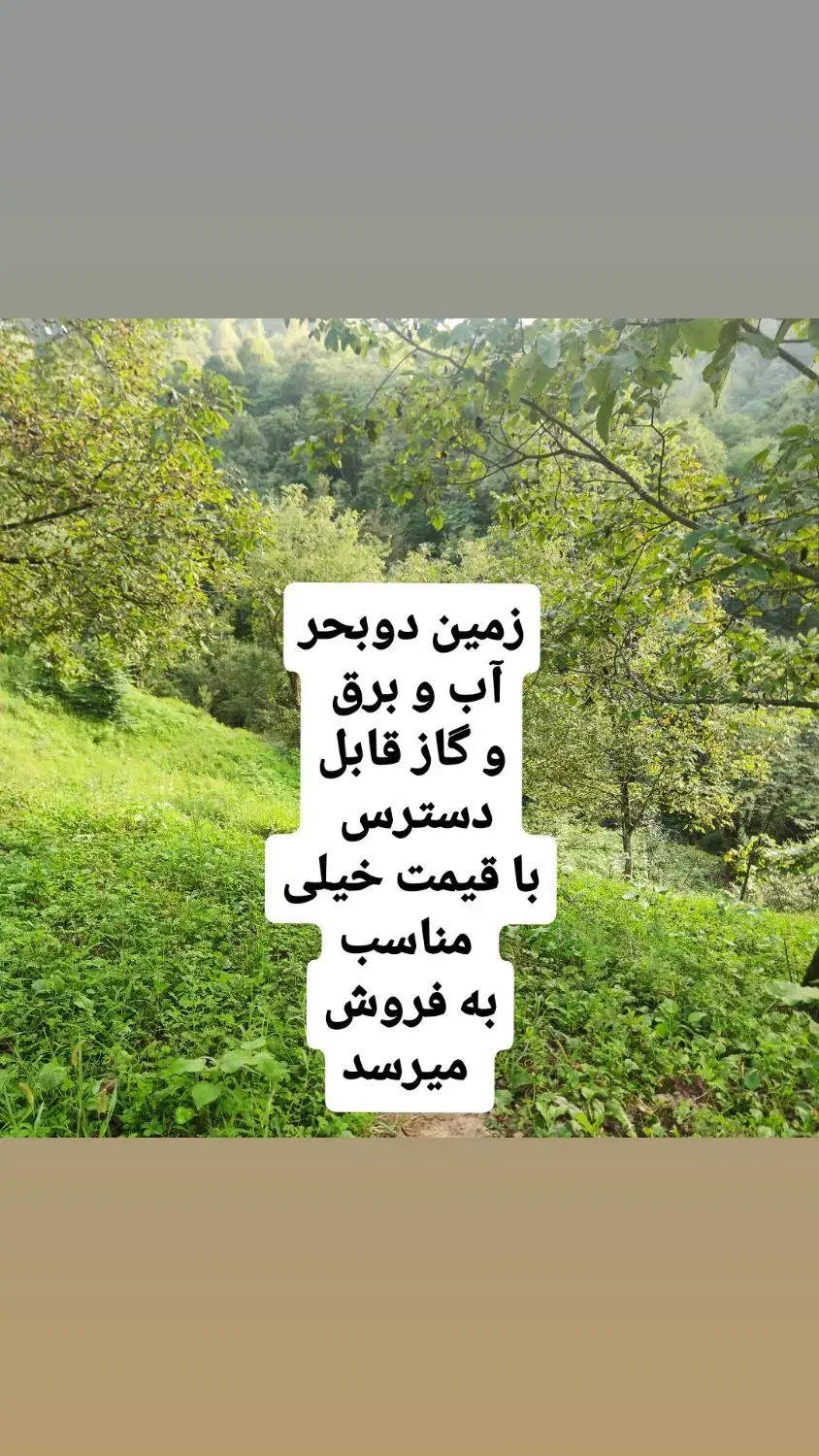 باغ واقع در خطبه سرا|فروش زمین و ملک کلنگی|لیسار, |دیوار